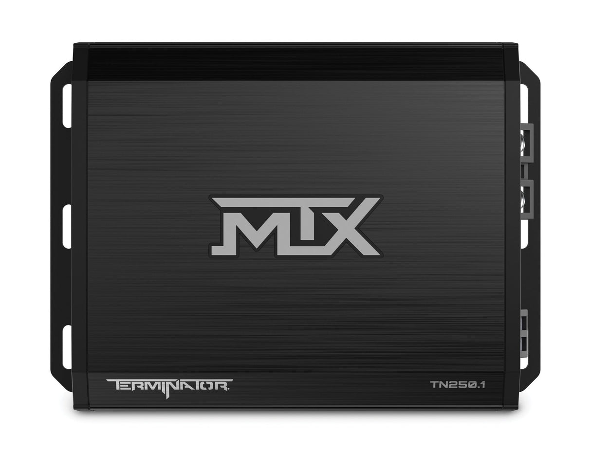Terminator Amp, Mono Block 250 (TN2501)