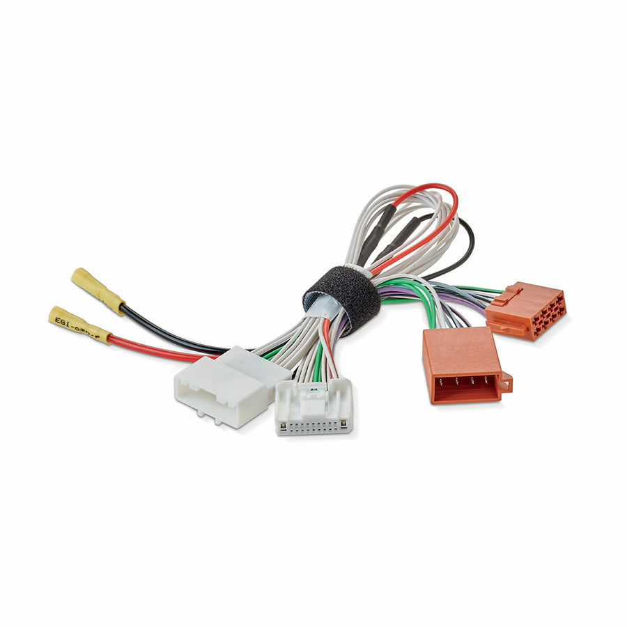 Focal Inside Harness (IWNISYISO)