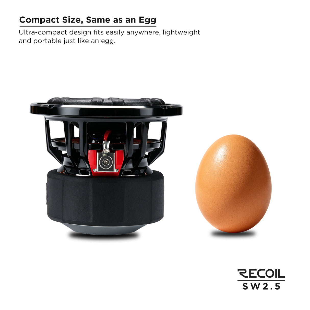 RECOIL 2.5" SUBWOOFER - 20 Watts RMS Power Handling (SW25)