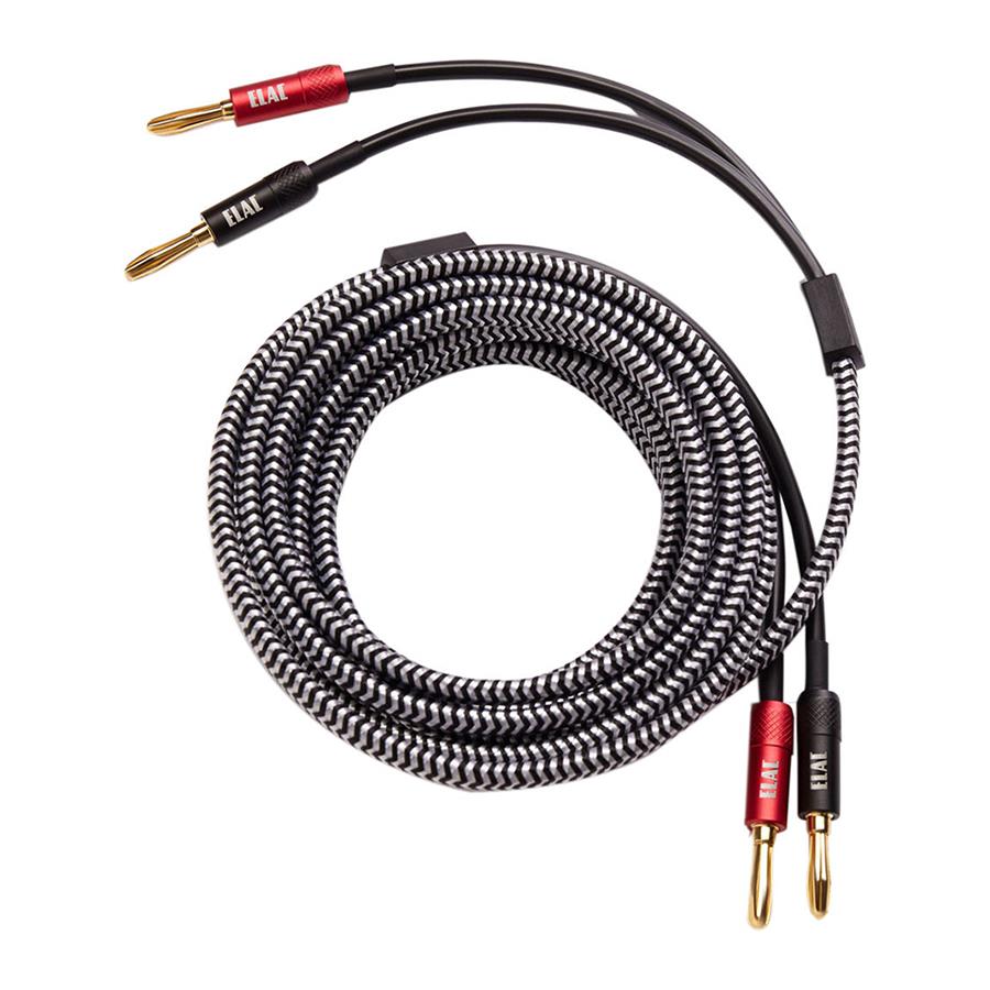 10 Foot Sensible Speaker Wires (SPW10FTP)
