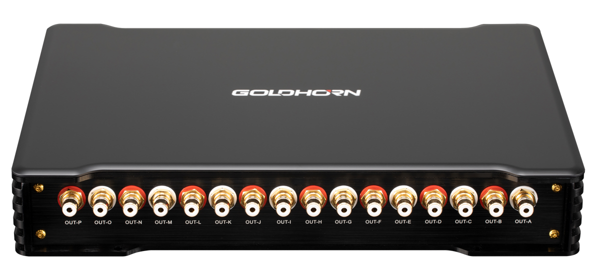 Goldhorn STAND ALONE 16 CHANNEL DSP PROCESSOR - FLAGSHIP MODEL (DSP16ULTRA)