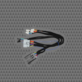 Cicada Audio NAVTV A2B Module to CICADA DSP or DSP Amplifier Harness (24HDNAVTVA2B)