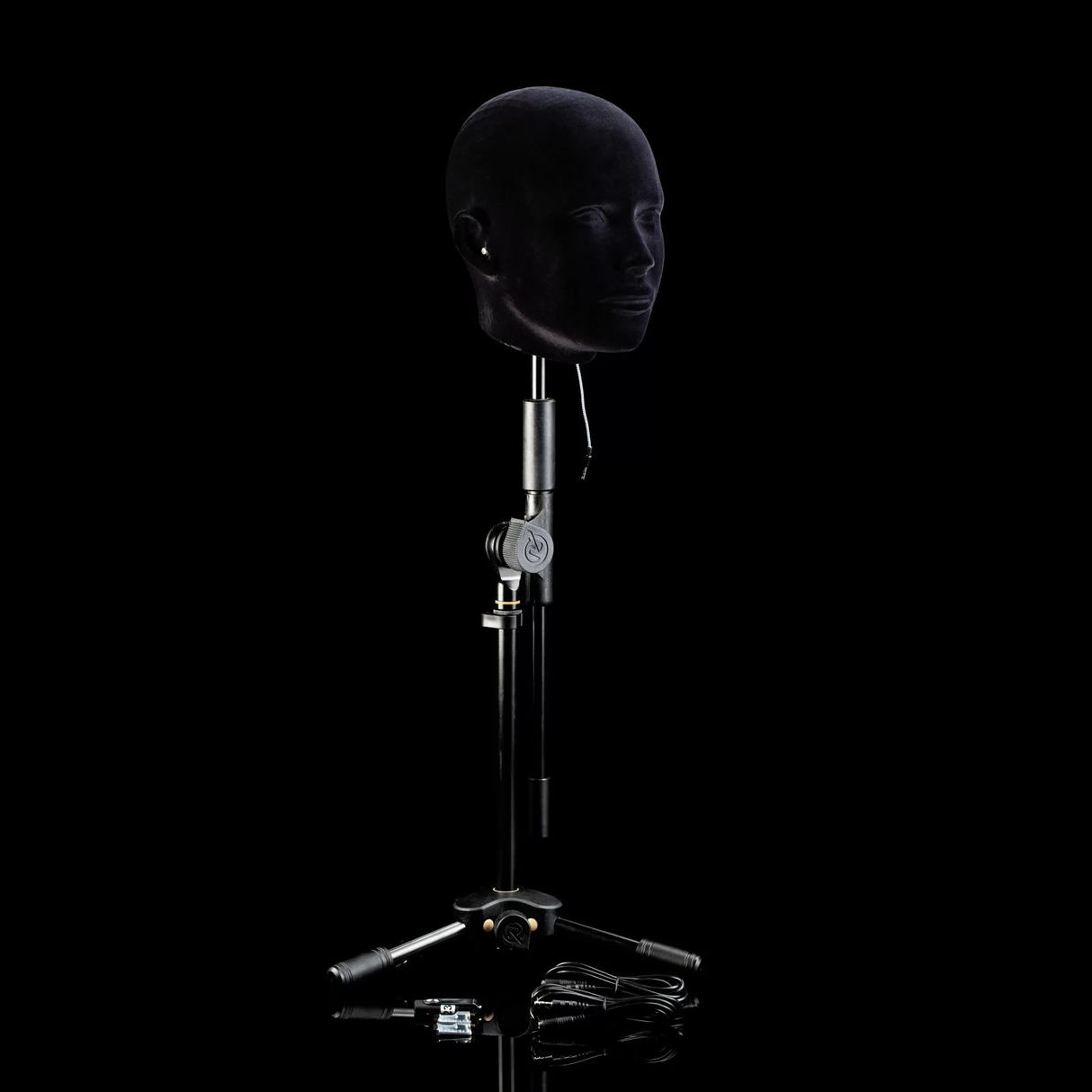 B.A.R.N.I.E. Binaural Audio Record Non Interference Elaborate - Binaural Measuring System (BARNIE)