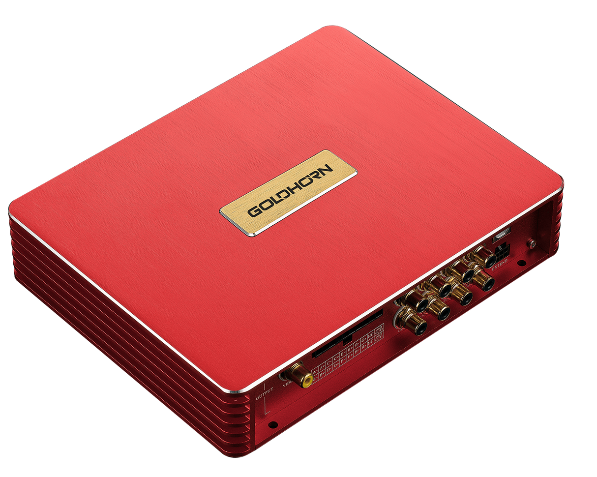 Goldhorn 8 Channel Amplifier with 16 Channel DSP Processor - 50 Watts x 8 RMS Power @ 4 Ohms (P2DSPAPRO)