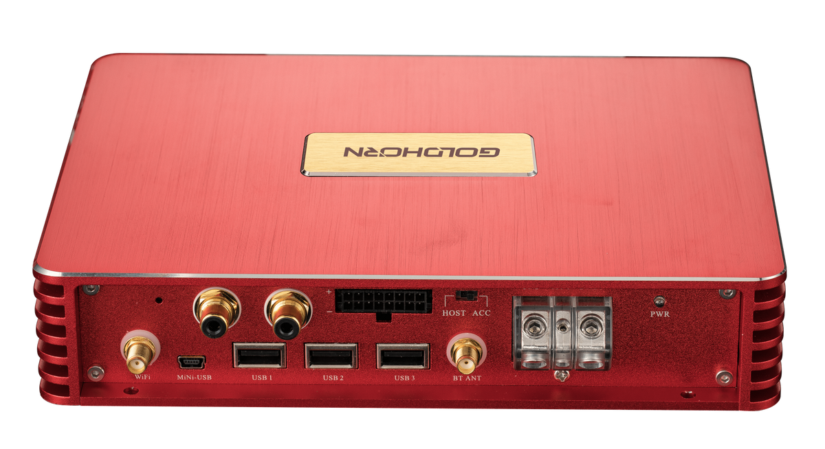 Goldhorn 8 Channel Amplifier with 16 Channel DSP Processor - 50 Watts x 8 RMS Power @ 4 Ohms (P2DSPAPRO)